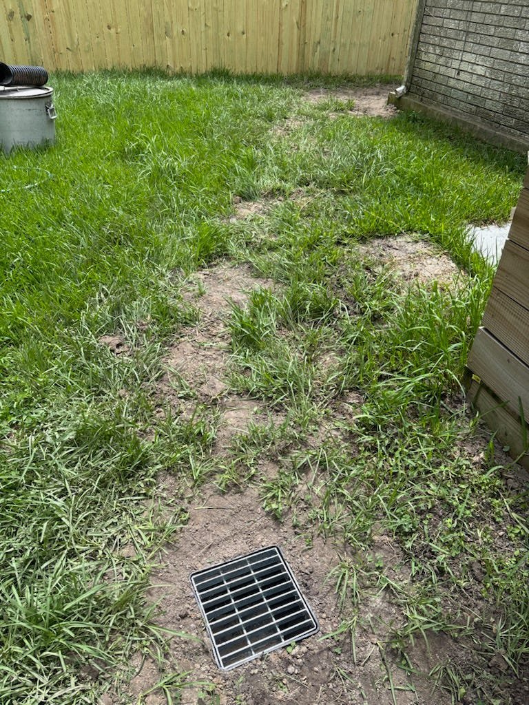 Yard drain installed in a grassy side yard on the Northshore