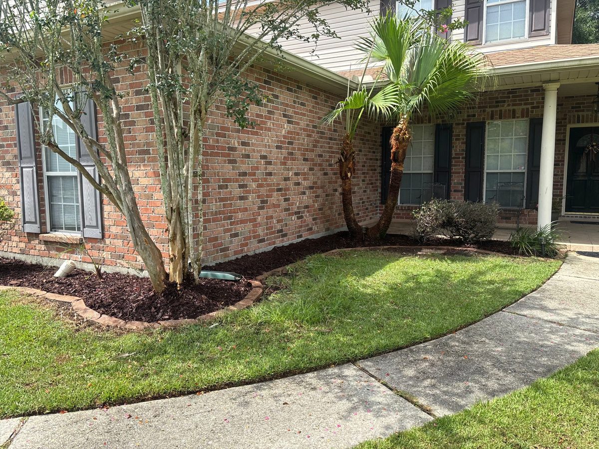 Landscaping with a curved mulch bed, crape myrtle and palm in St. Tammany Parish