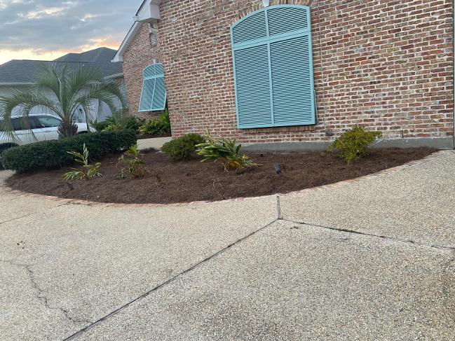 slidell lawn care, slidell landscaping, lawn care slidell louisiana, lawn care Slidell, lawn care company slidell, grass cutting Slidell, pressure washing Slidell Louisiana, pressure washing LA, pressure washing slidell, pressure washing st. tammany parish, lawn care st. tammany parish, lawn care Lacombe la, lawn care abita springs la, lawn care mandeville la, lawn care covington la, lawn care madisonville la, lawn care folsom la, lawn care bush la, lawn care sun la, lawn care goodbee la, lawn care Lacombe, lawn care abita springs, lawn care mandeville, lawn care covington, lawn care madisonville, lawn care folsom, lawn care bush, lawn care sun, lawn care goodbee, landscaping Lacombe la, landscaping abita springs la, landscaping mandeville la, landscaping covington la, landscaping madisonville la, landscaping folsom la, landscaping bush la, landscaping sun la, landscaping goodbee la, pressure washing Lacombe la, pressure washing abita springs la, pressure washing mandeville la, pressure washing covington la, pressure washing madisonville la, pressure washing folsom la, pressure washing bush la, pressure washing sun la, pressure washing goodbee la, Slidell grass cutting, Slidell grass